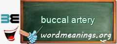 WordMeaning blackboard for buccal artery
